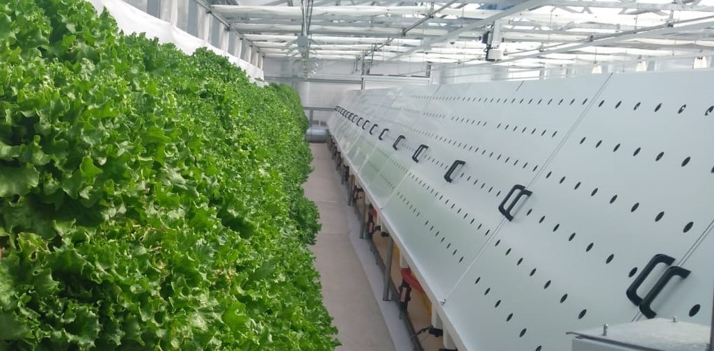 Aethor controlled atmosphere bio-production platform