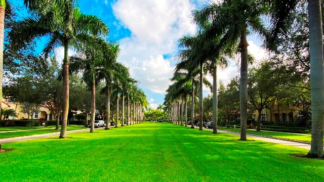 Valencia at Abacoa, Jupiter