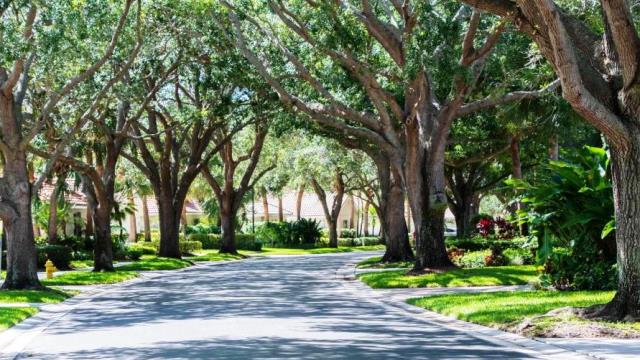 Oaks East, Palm Beach Gardens