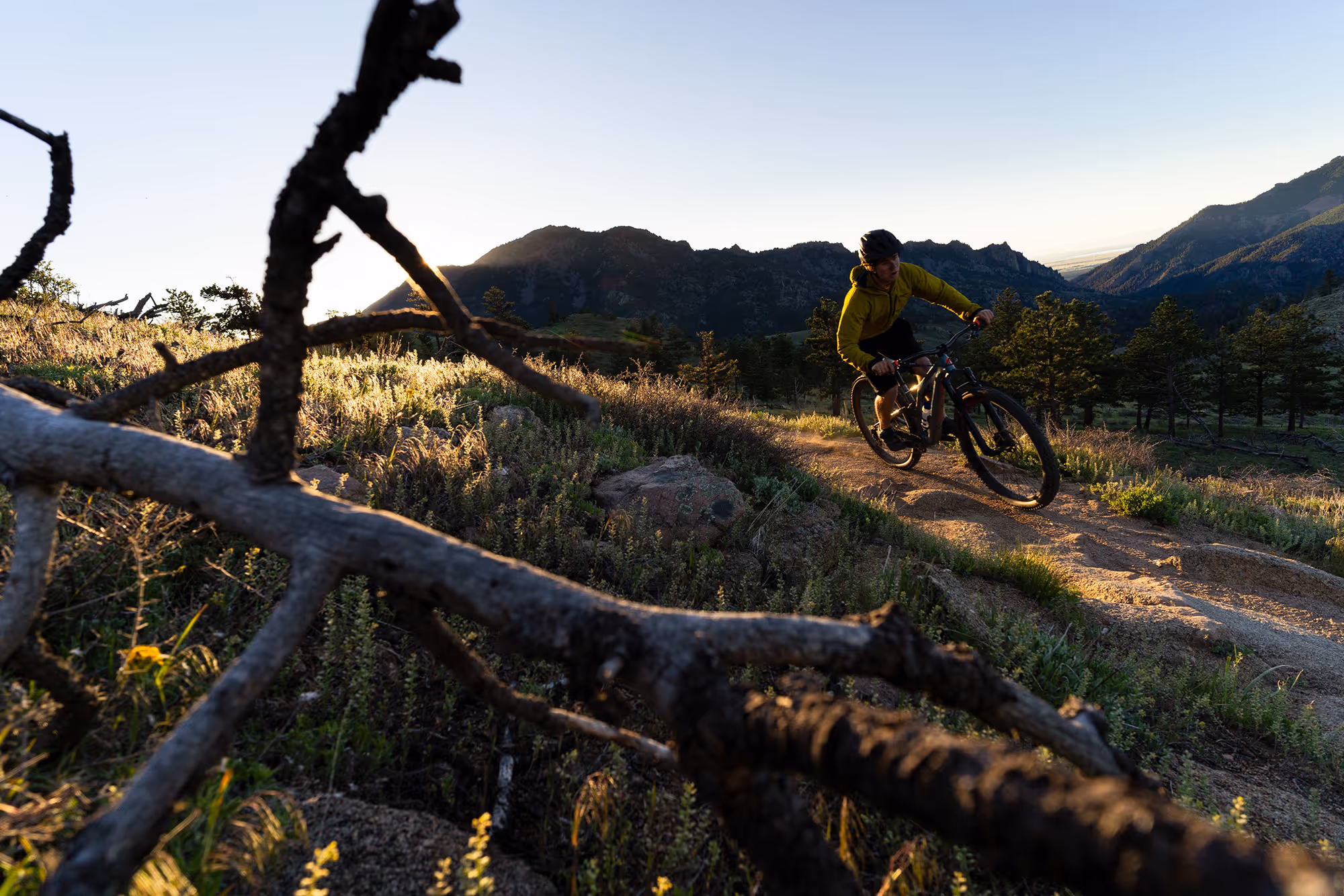 Mountain biker wearing a green jacket riding on a dirt trail through a sunlit mountainous landscape with trees and dry branches in the foreground.