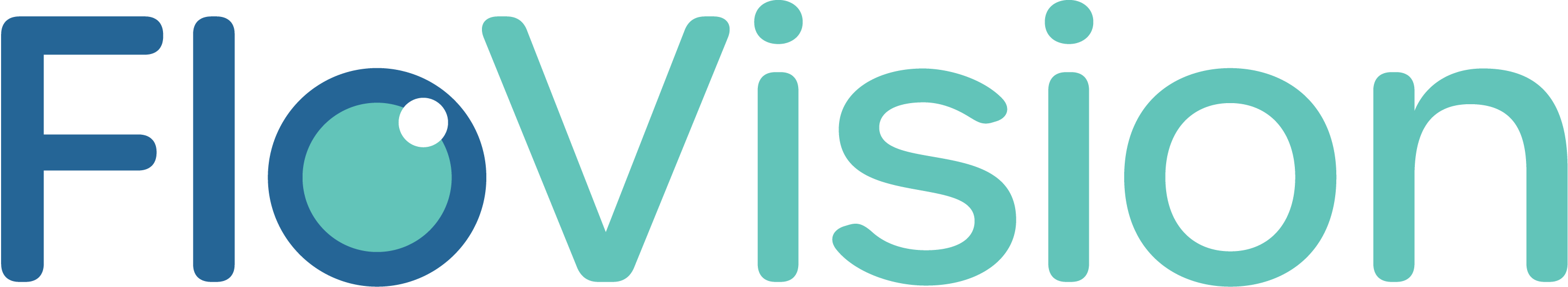 FloVision