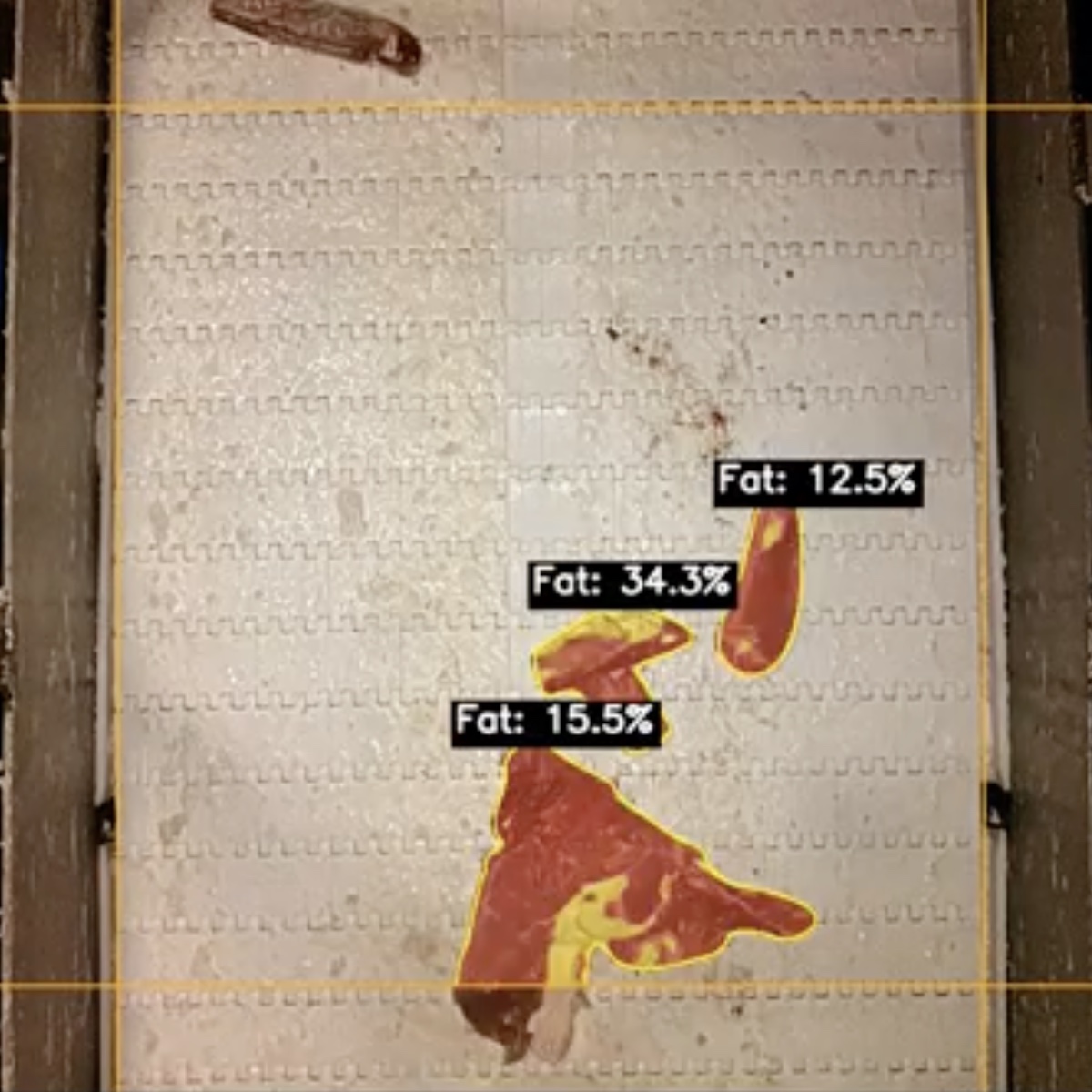 FloVision computer vision measuring the fat percentage of beef trim on a conveyor