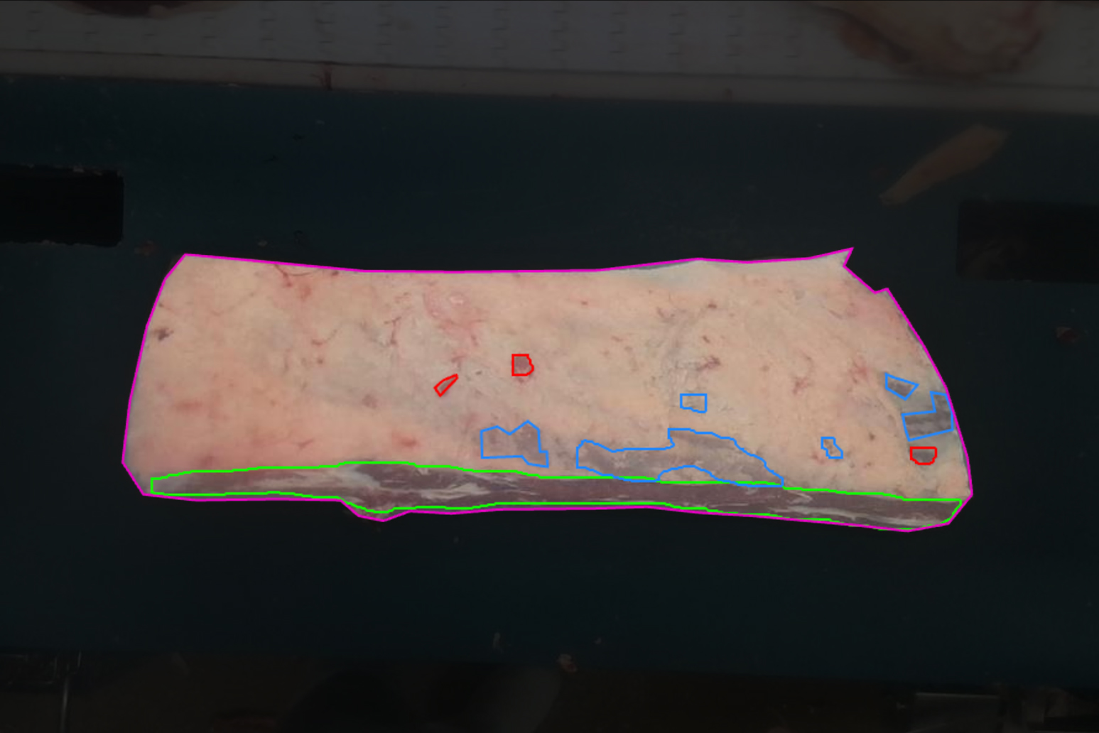 Beef striploin with FloVision yield and defect detection