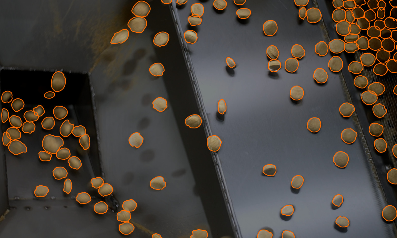 Pet food kibble on a processing line with FloVision piece-level detection