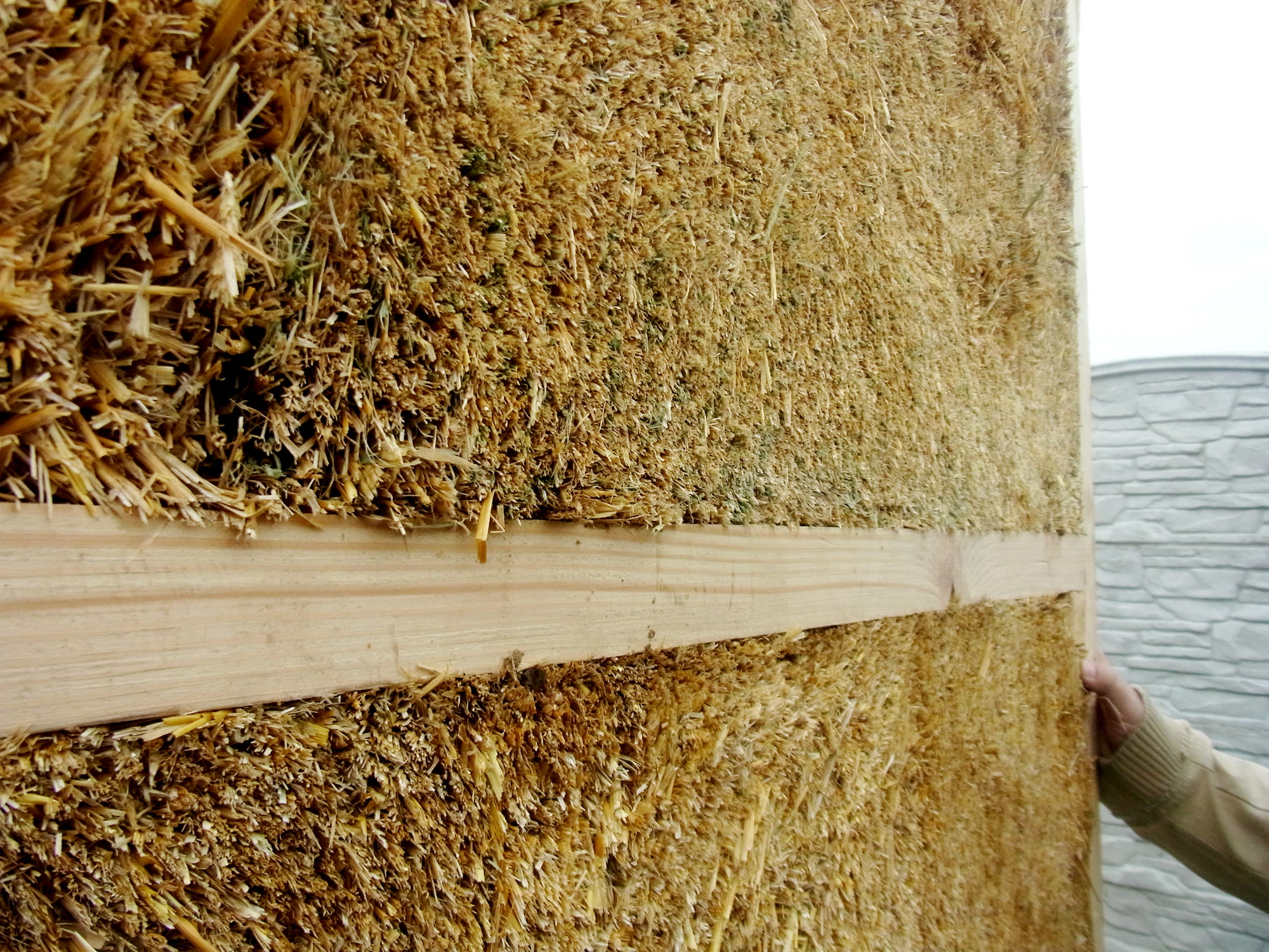 Close-up of an Eco-Bud straw panel: compressed straw and the wooden frame member