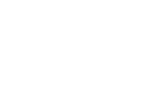 Vector