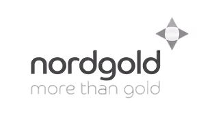 logo nordgold