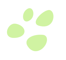 Shape 9 Pawcare Webflow Template | Brix Template