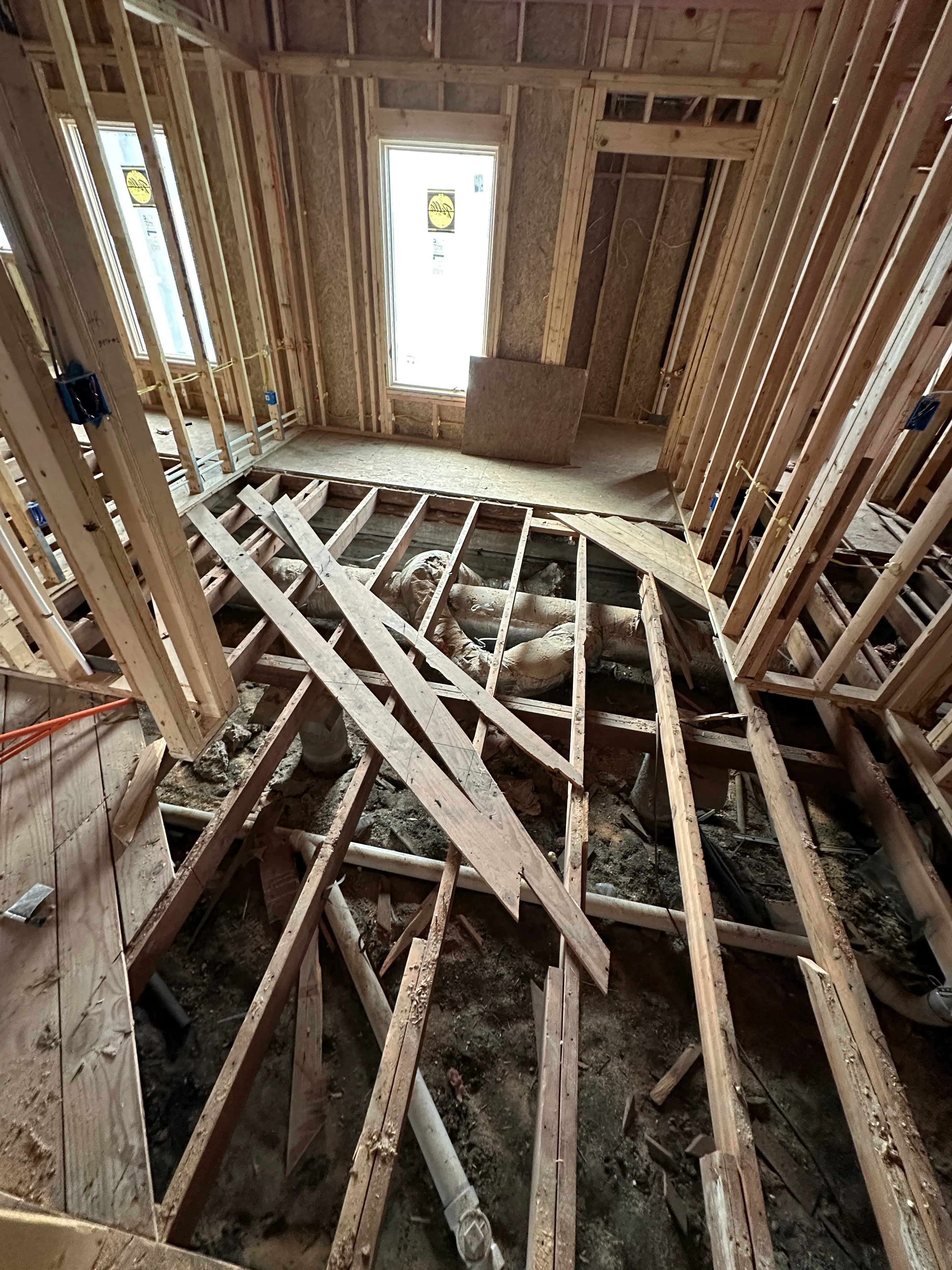 New wall framing and window openings