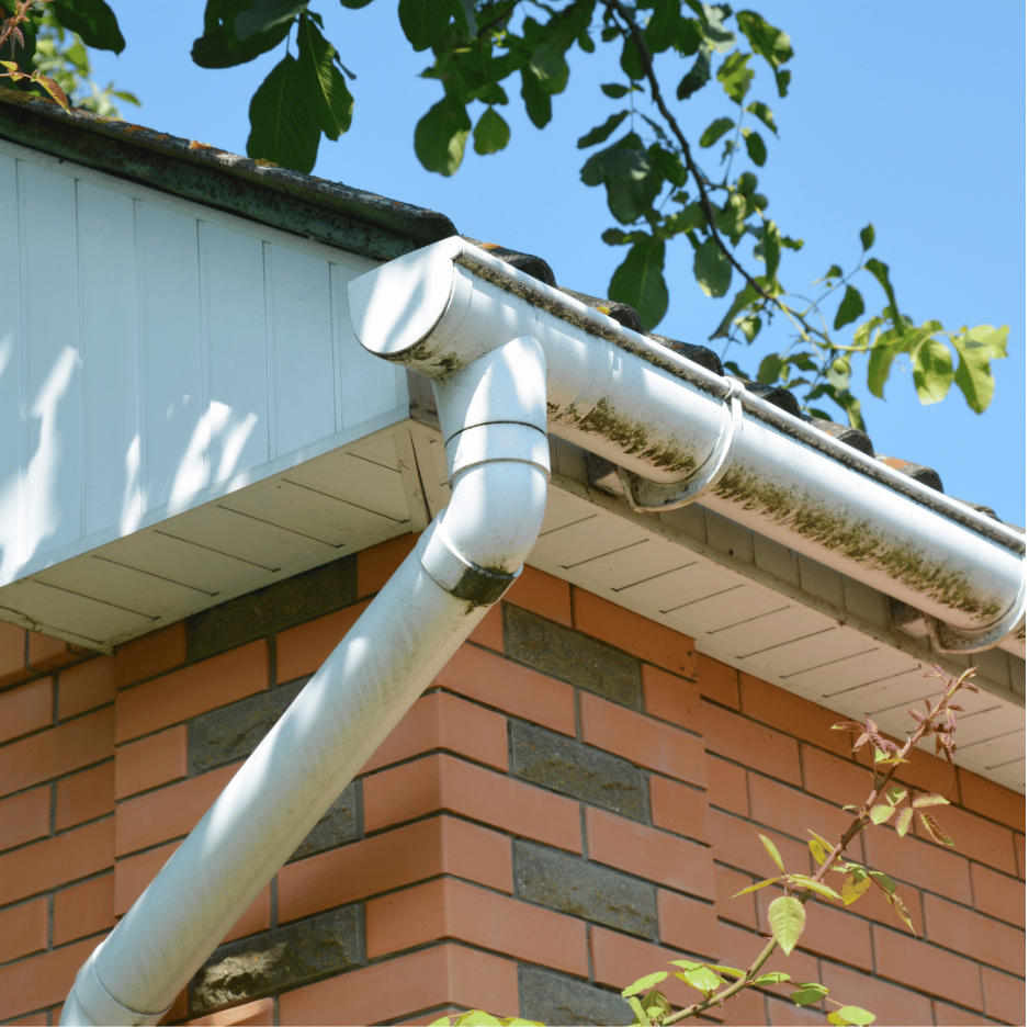 What Is The Best Rain Gutter Cleaning Method?