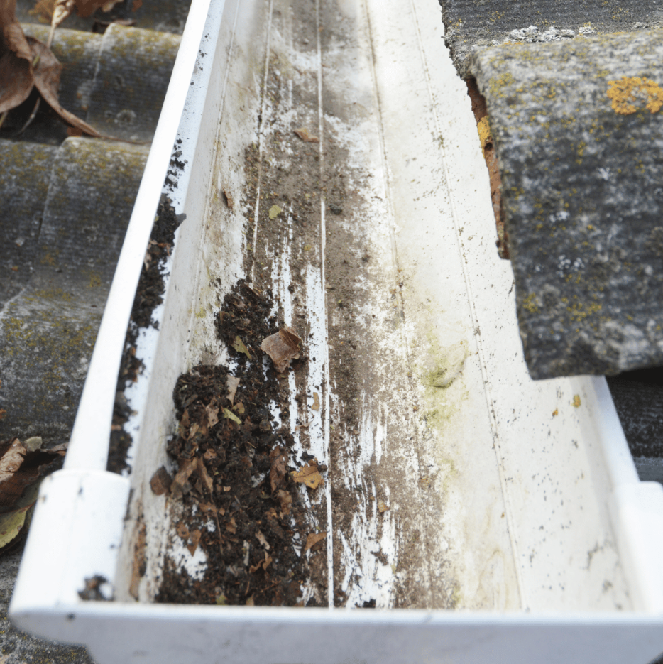 What Is The Best Rain Gutter Cleaning Method?
