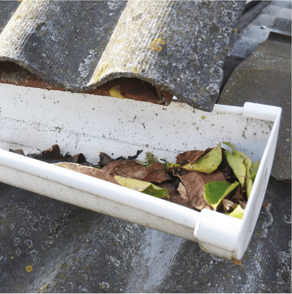 What Is The Best Rain Gutter Cleaning Method?