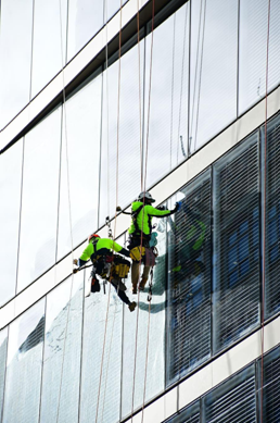 window cleaning