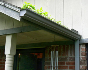 How often do you clean your gutters? 