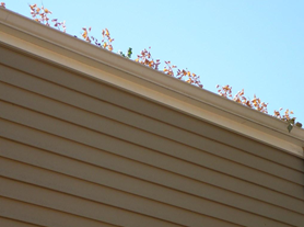 How often do you clean your gutters? 
