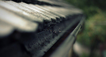 How often do you clean your gutters? 