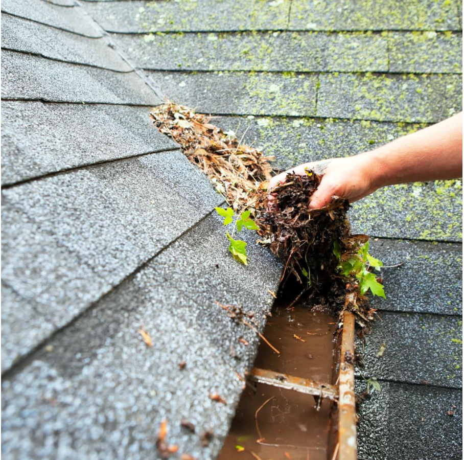  Factors to Consider When Choosing a Gutter Cleaning Company 