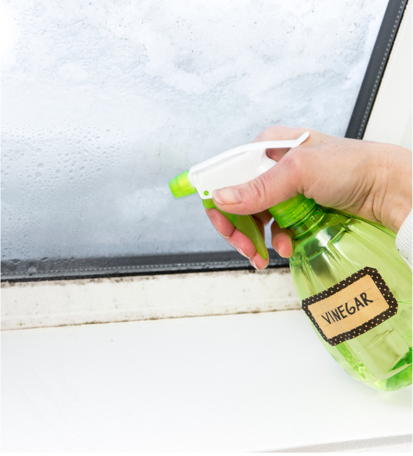DIY Window Cleaner Recipes: Effective and Eco-Friendly Options