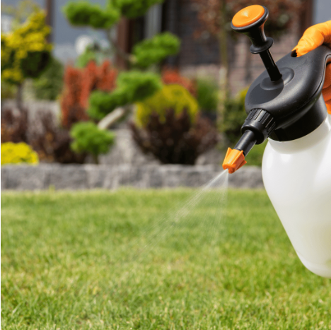 Are Soft Wash Chemicals Safe and Effective?