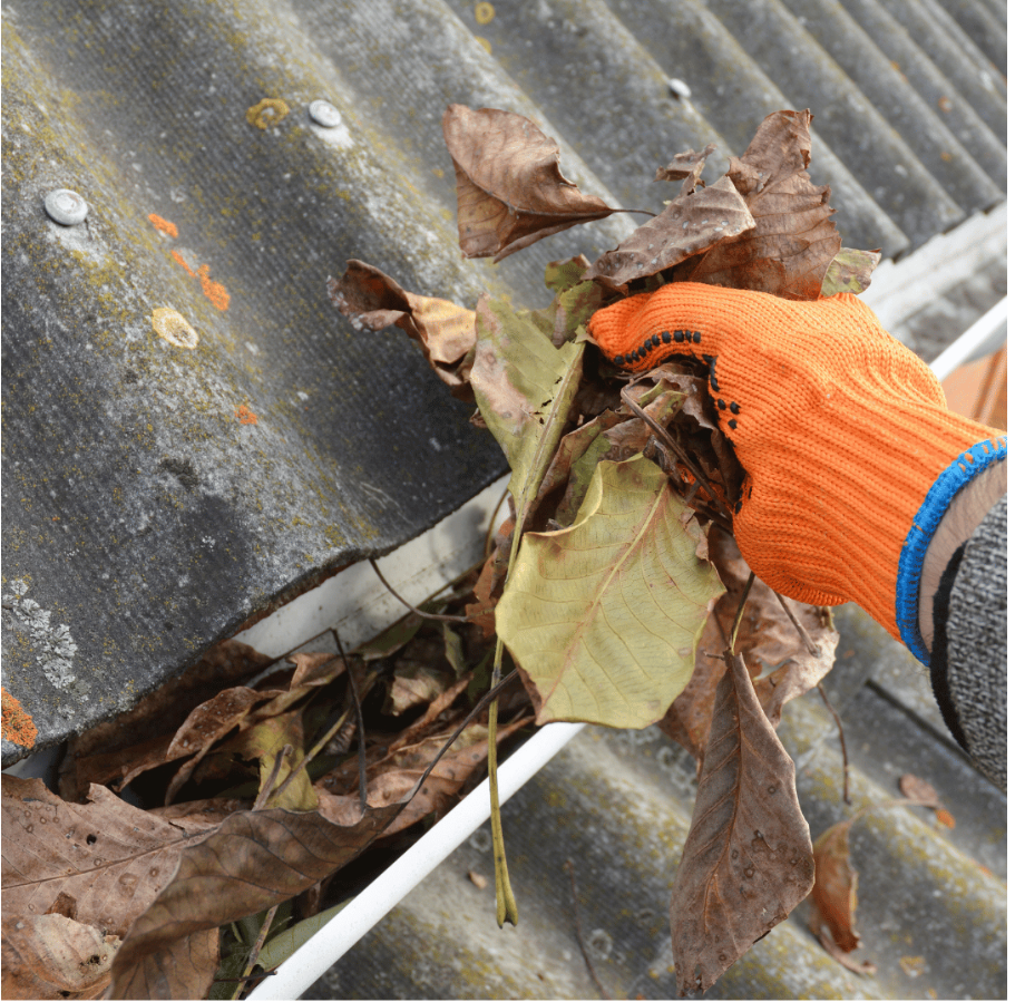 The Gutter Cleaning Business and Its Importance for Homeowners