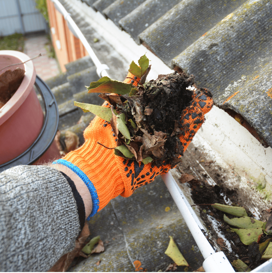  Gutter Cleaning - removing leaves