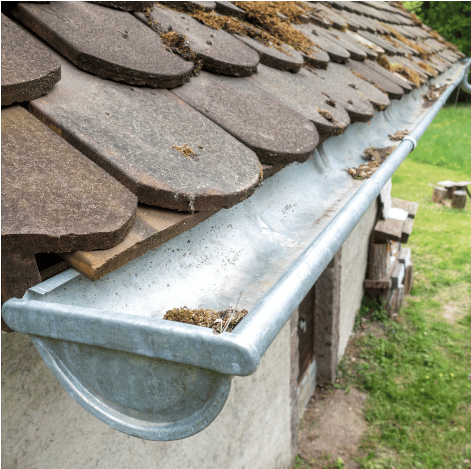 dirty gutter needs professional clening