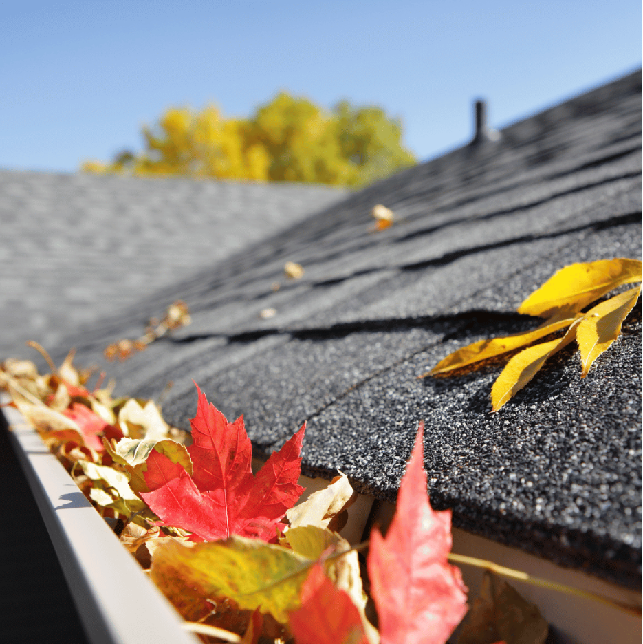 When Is the Best Time to Clean Gutters?