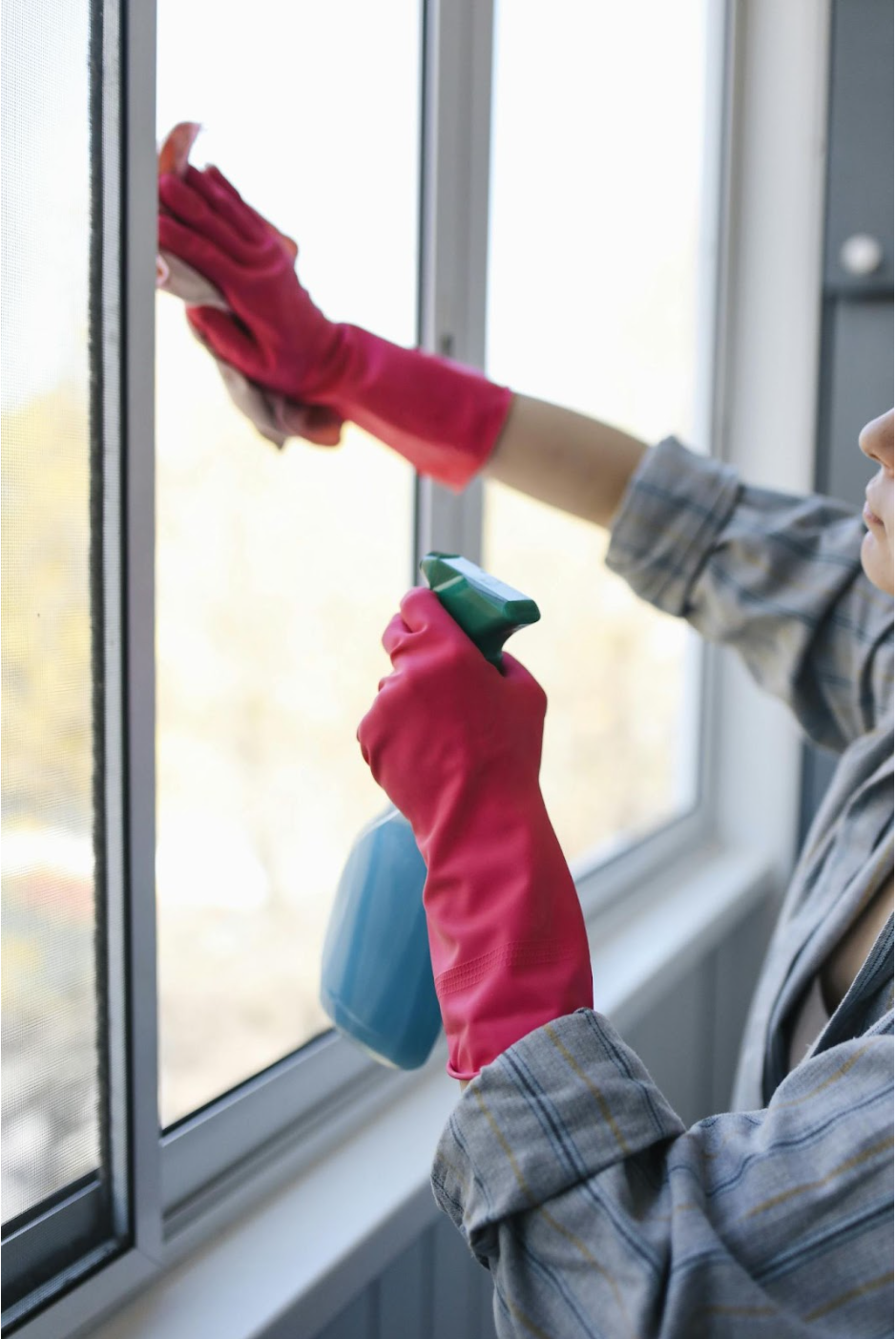 Outdoor Window Cleaning: Tips & Techniques
