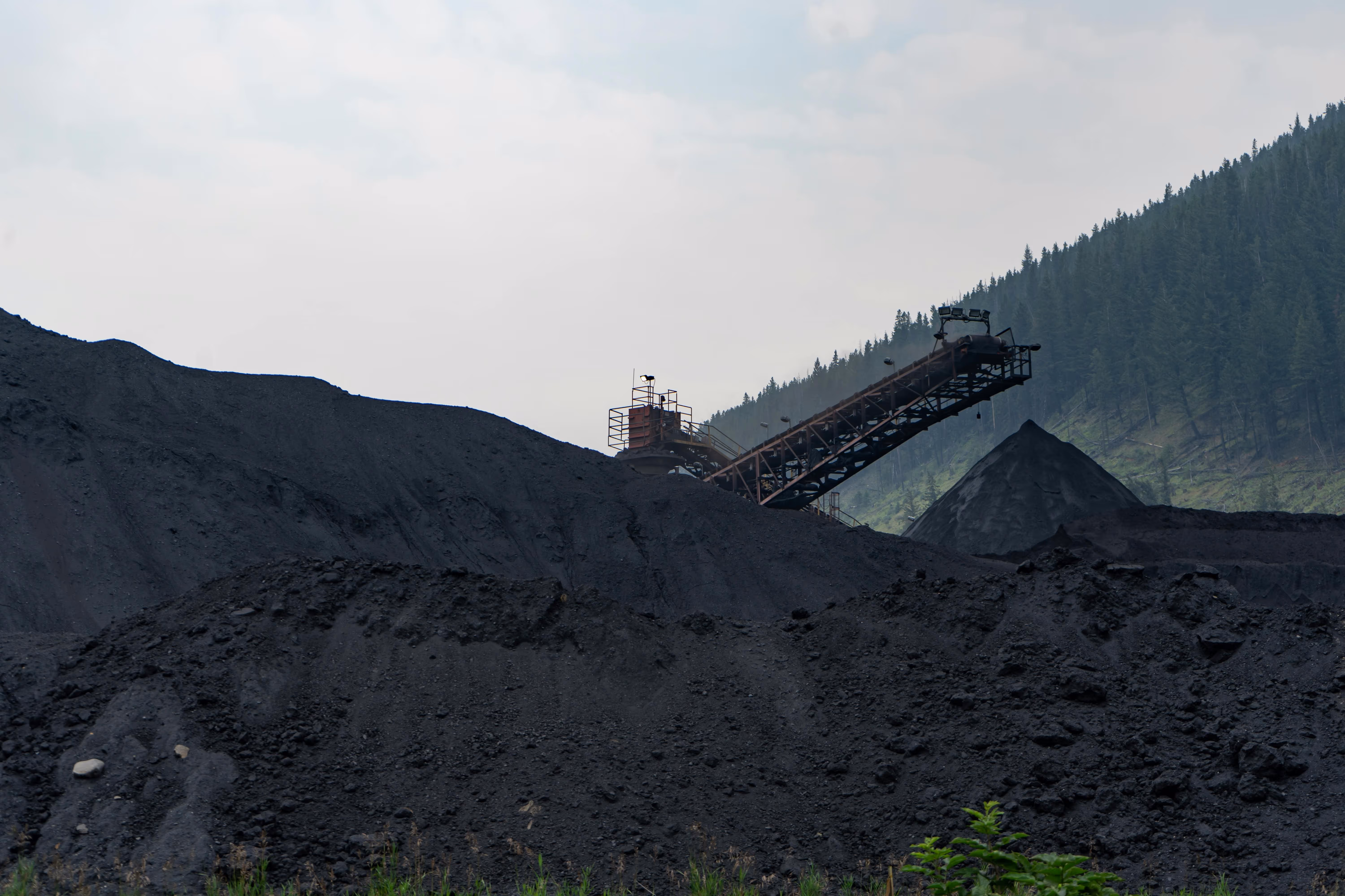 Indonesia Coal Permit Risk Tightens Supply