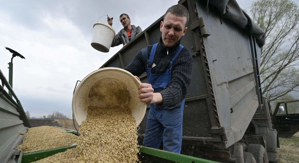 Ukraine Corn Export Reality Check: Infrastructure vs Projections