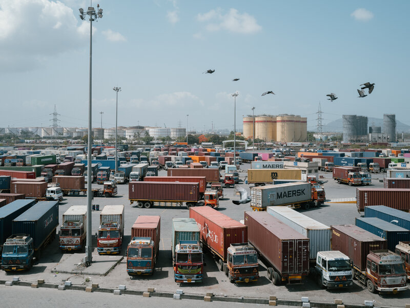India Edible Oil Margins Compressed 6% on Rupee Weakness