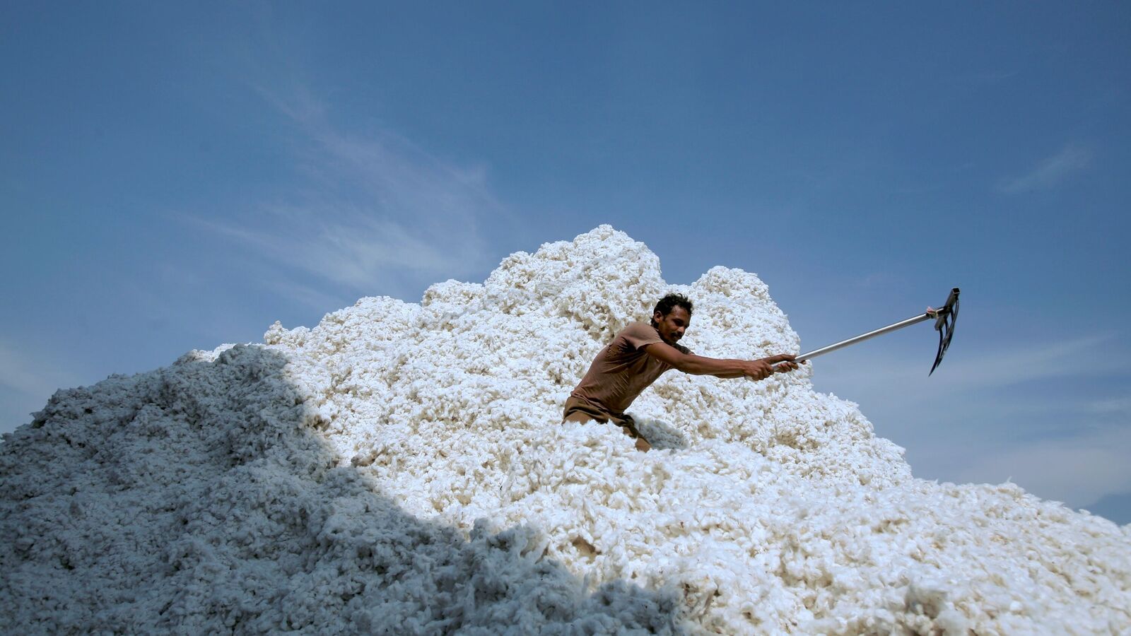 India Cotton Import Duty Suspension Creates 11% Margin Boost