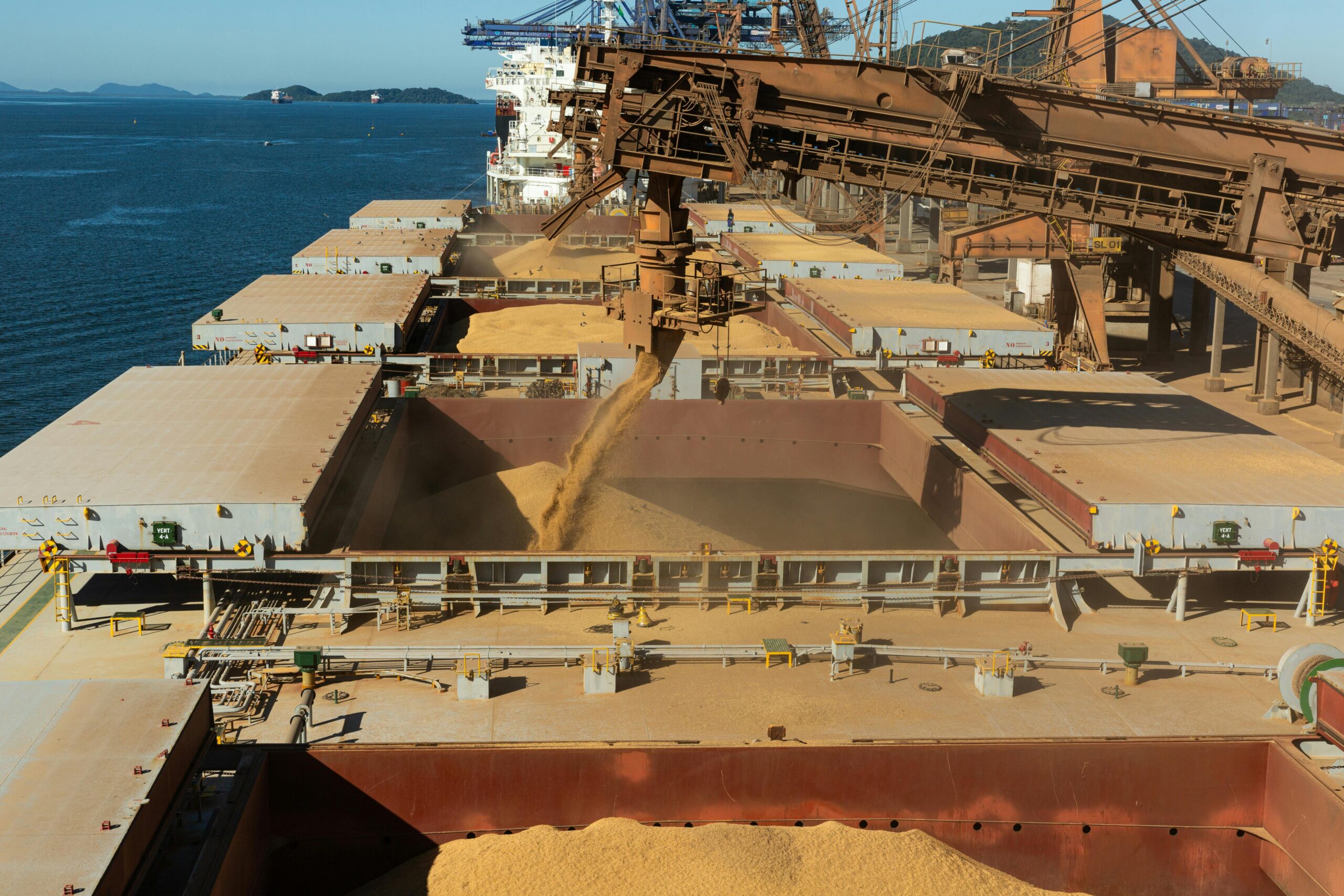Food Prices Stable as Grain Exporters Gain Advantage