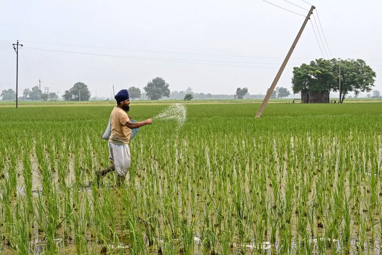 Commodity intelligence article preview — Procurement Institute