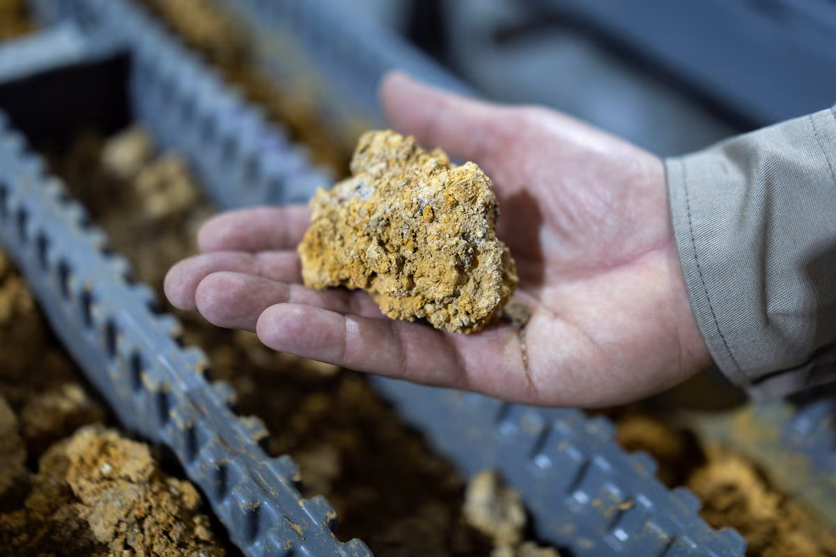 Related physical commodity intelligence report