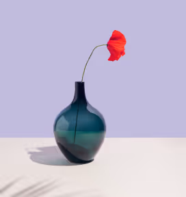 Single red poppy flower with a curved green stem in a dark blue-green glass vase on a white surface against a light purple background.