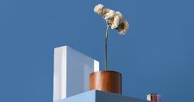 Withered white flower in a wooden vase on a blue surface against a blue background, next to a translucent rectangular block and a small glass object.