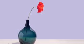 Single red poppy flower in a dark green glass vase on a light surface with a lavender background.
