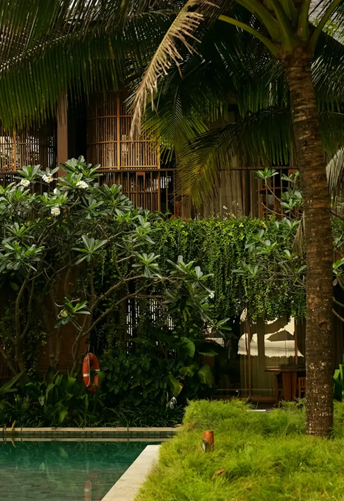 Outdoor pool with surrounding lush green plants, palm trees, and a wooden building facade with hanging greenery.