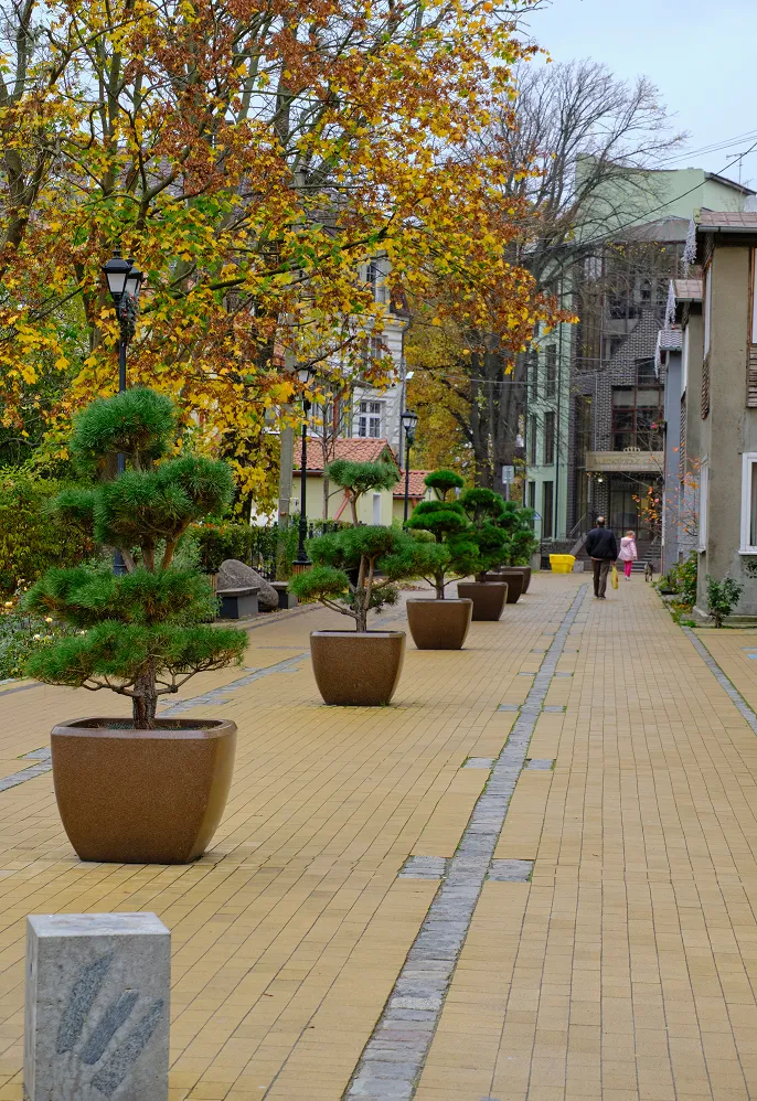 Paved urban walkway lined with large potted ornamental trees, autumn foliage, and two people walking in the distance.