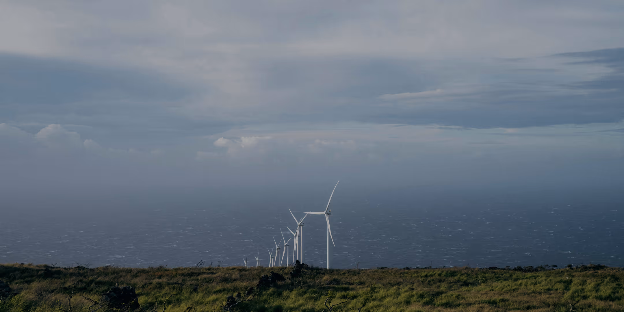 windfarm on a seashore