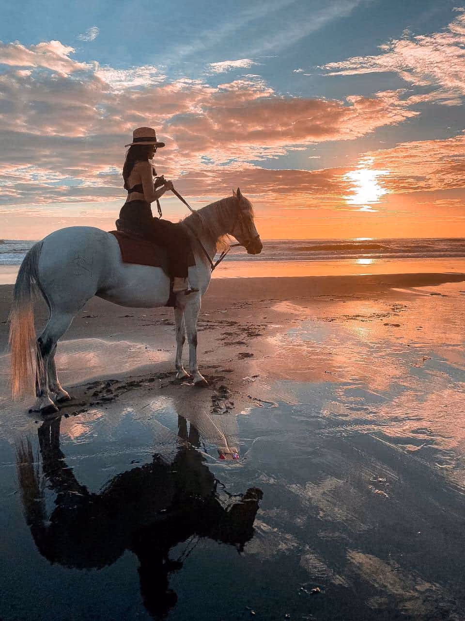 Silhouette of a woman riding a white horse on a beach at sunset with reflections in wet sand.