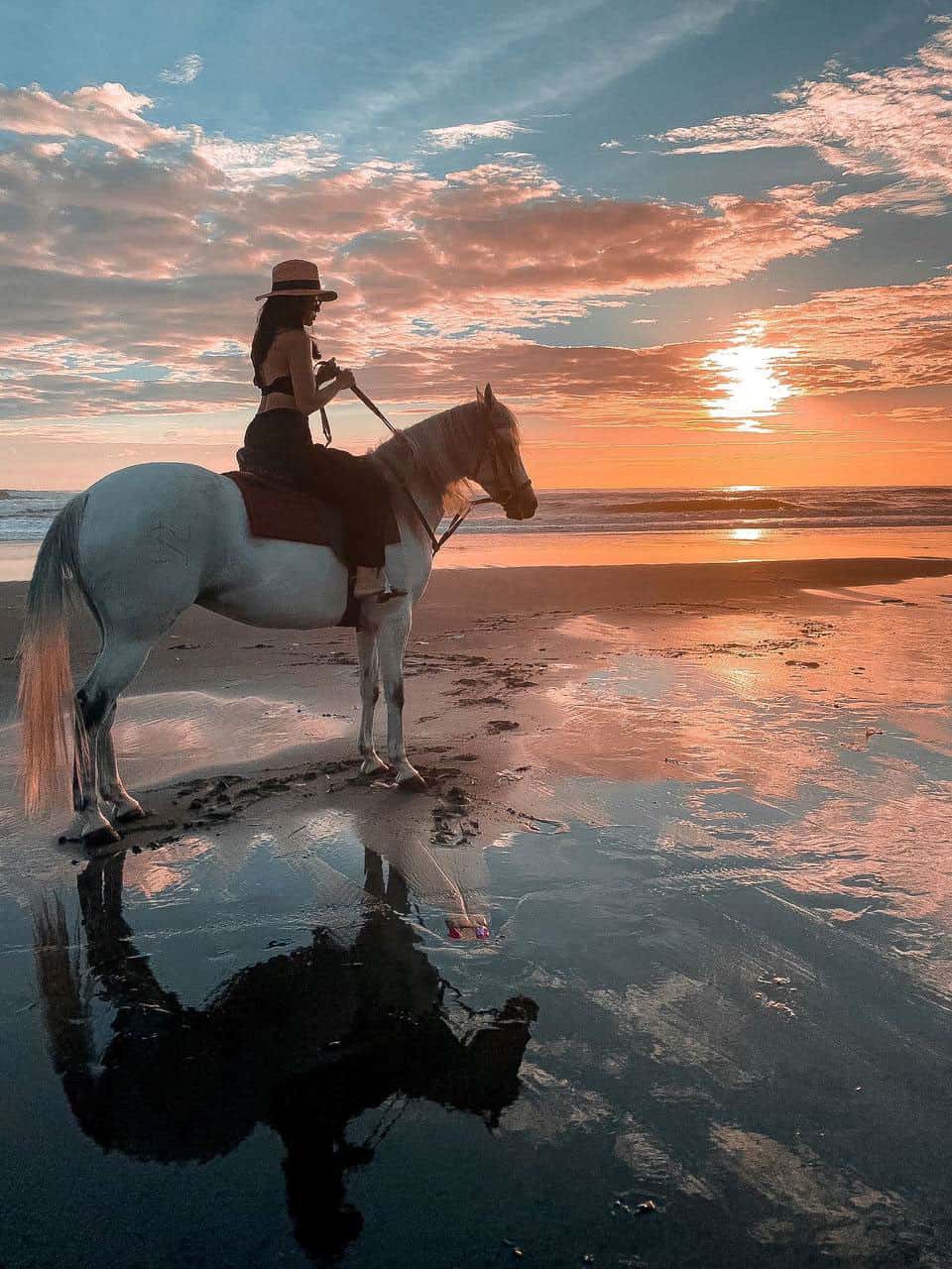 Silhouette of a woman riding a white horse on a beach at sunset with reflections in wet sand.