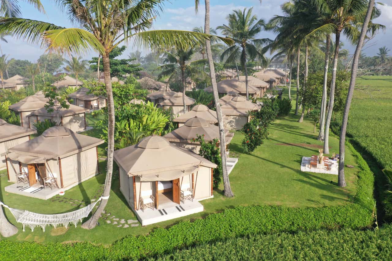 Rows of beige glamping tents with open doors and chairs on green grass among tall palm trees by a lush field.