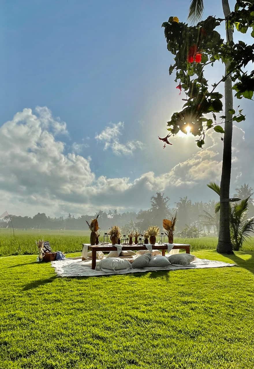 Outdoor picnic setup on lush green grass with cushions, decorative vases, and a sunny sky with clouds.