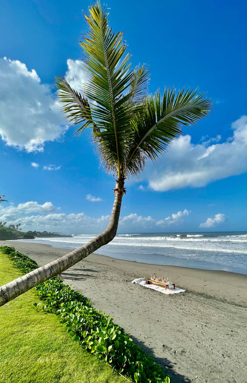 Curved palm tree over sandy beach with picnic setup and ocean waves under blue sky with clouds.