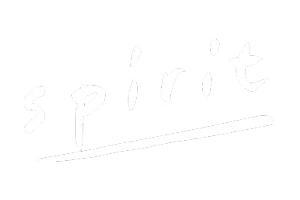 Logo Spirit - Agence immobilière partenaire de Hive