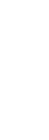 Image blanche vide ou très légèrement texturée sans contenu visible apparent.