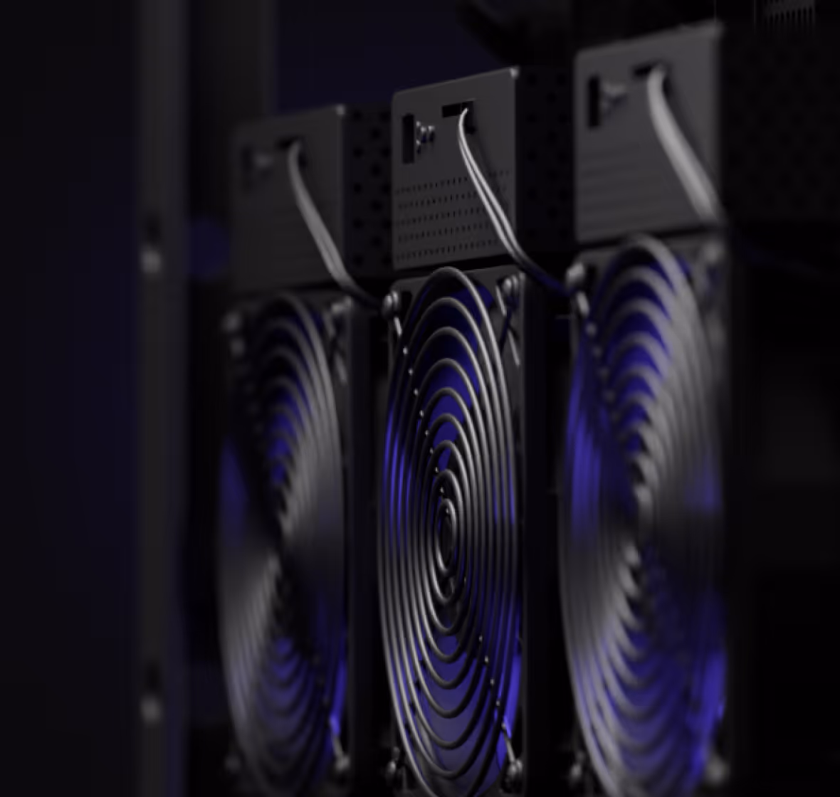Три вентилятора внутри компьютерного оборудования с синим подсвечиванием.