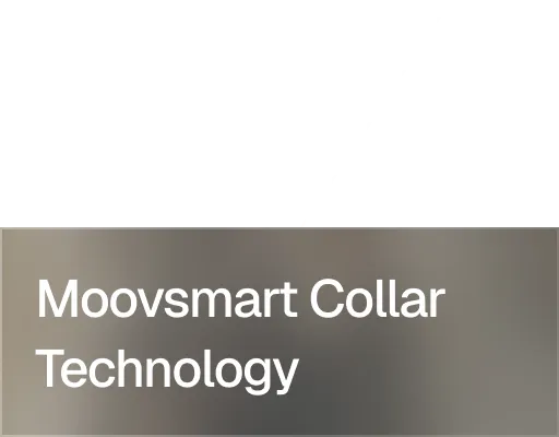 Text reading 'Moovsmart Collar Technology' on a gradient gray background.